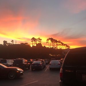 Meet your Posher, Nicholas